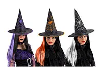 CT.HAT-WITCH-HAIR-03731
