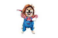 COSTUME-PET-PIRATE-25787