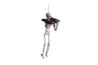 CT.SKELETON-HANGING-09879