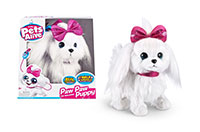 PETS ALIVE DOG PUPPY WALKING 02137