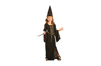 COSTUME-WITCH-22915