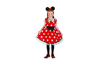 COSTUME-MOUSE-24295
