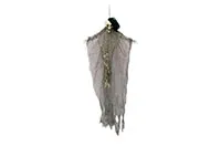 CT.SKELETON-HANGING-GRAY-09311