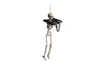 CT.SKELETON-HANGING-09874
