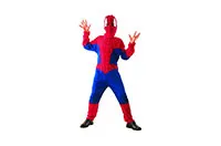 COSTUME-SPIDER-21876