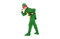 COSTUME-TURTLE-22498
