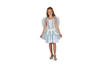 COSTUME-FAIRY-WINGS-25228