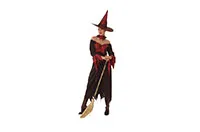 COSTUME-ADULT-WITCH-WICKED-25701